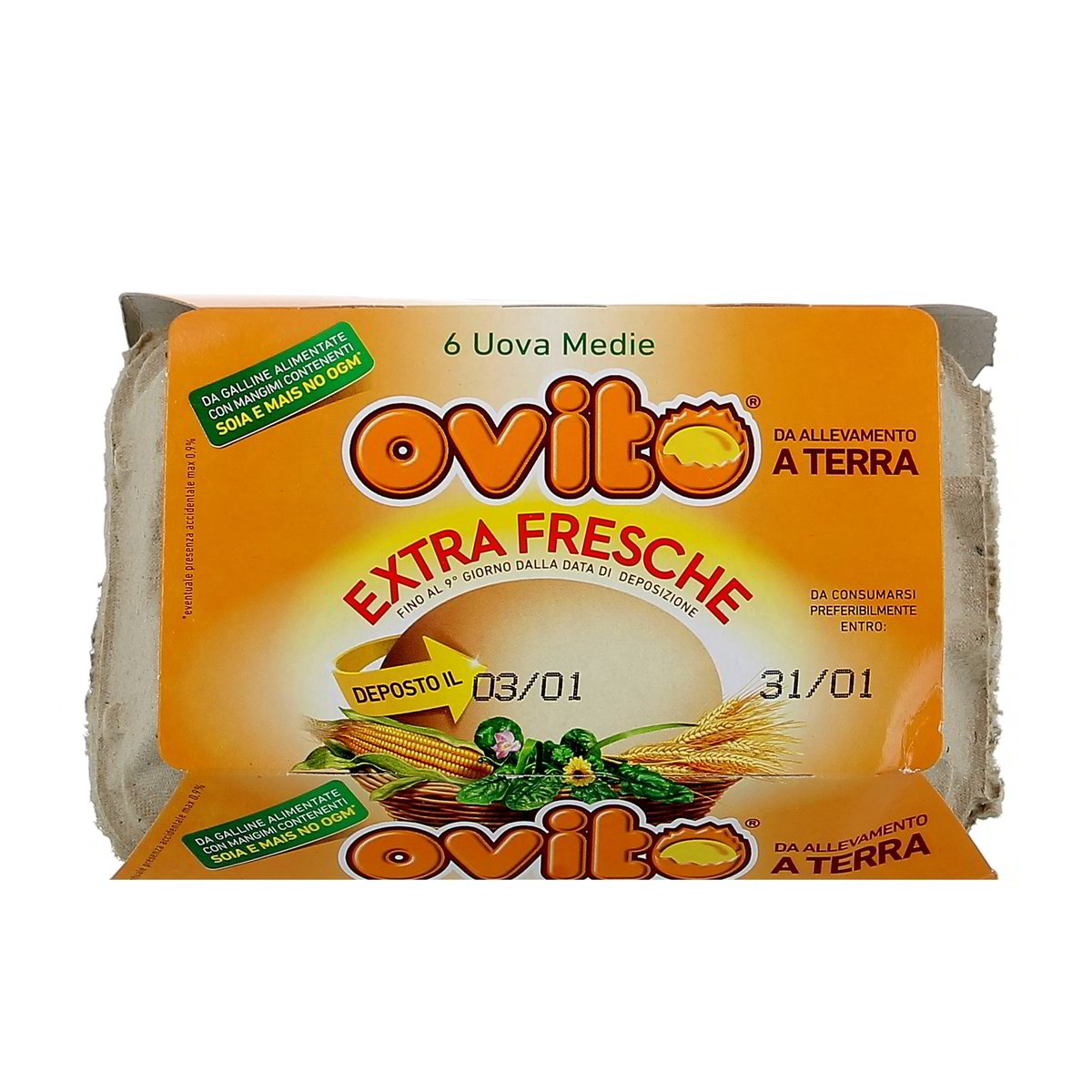 Ovito Uova Extra Fresche 6 uova medie