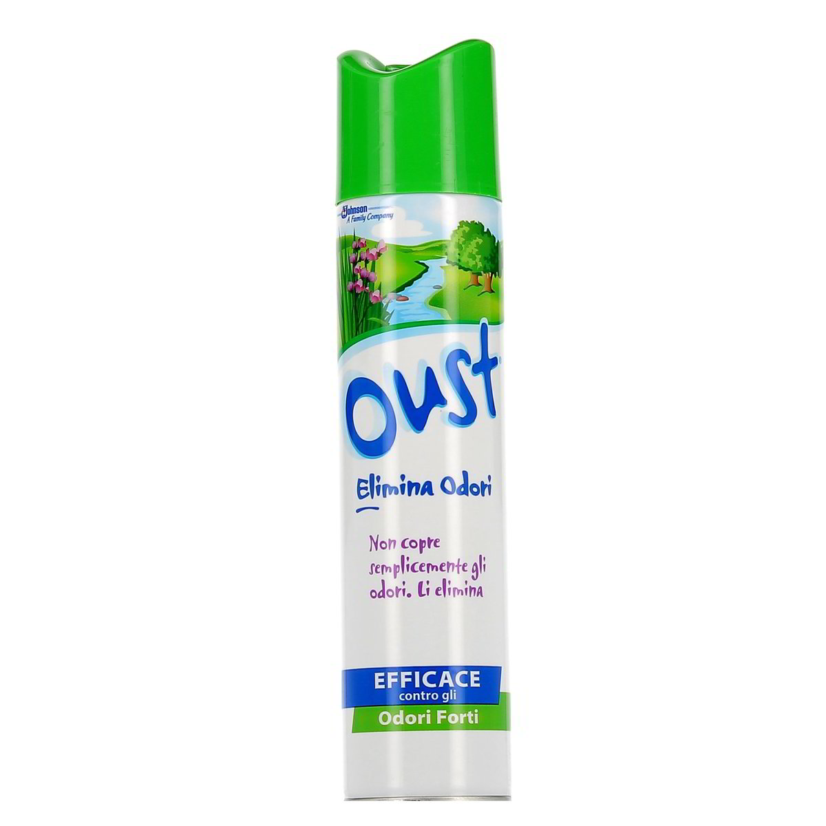 Oust Elimina Odori 300 ml