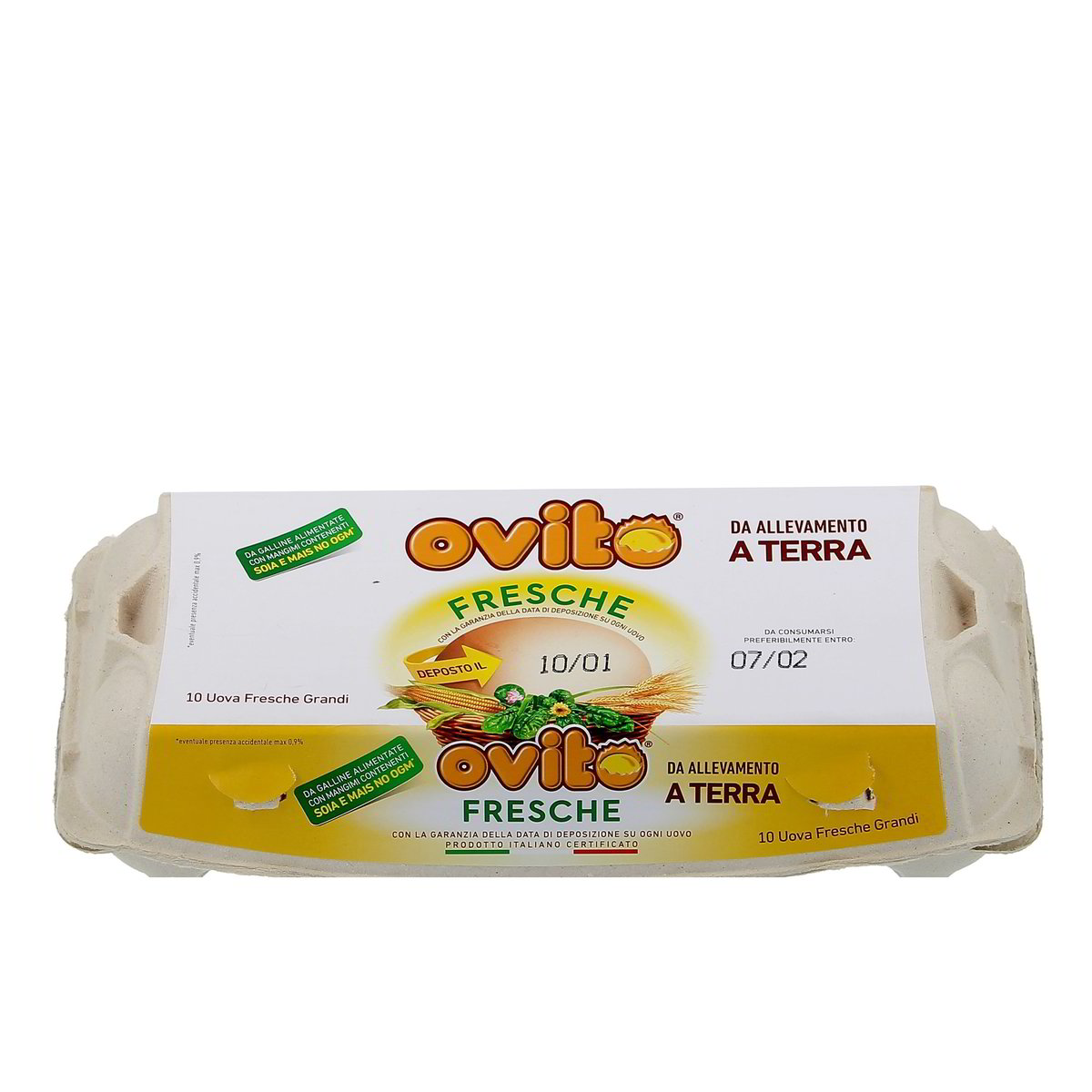 Ovito Fresche Da Allevamento A Terra 10 uova grandi