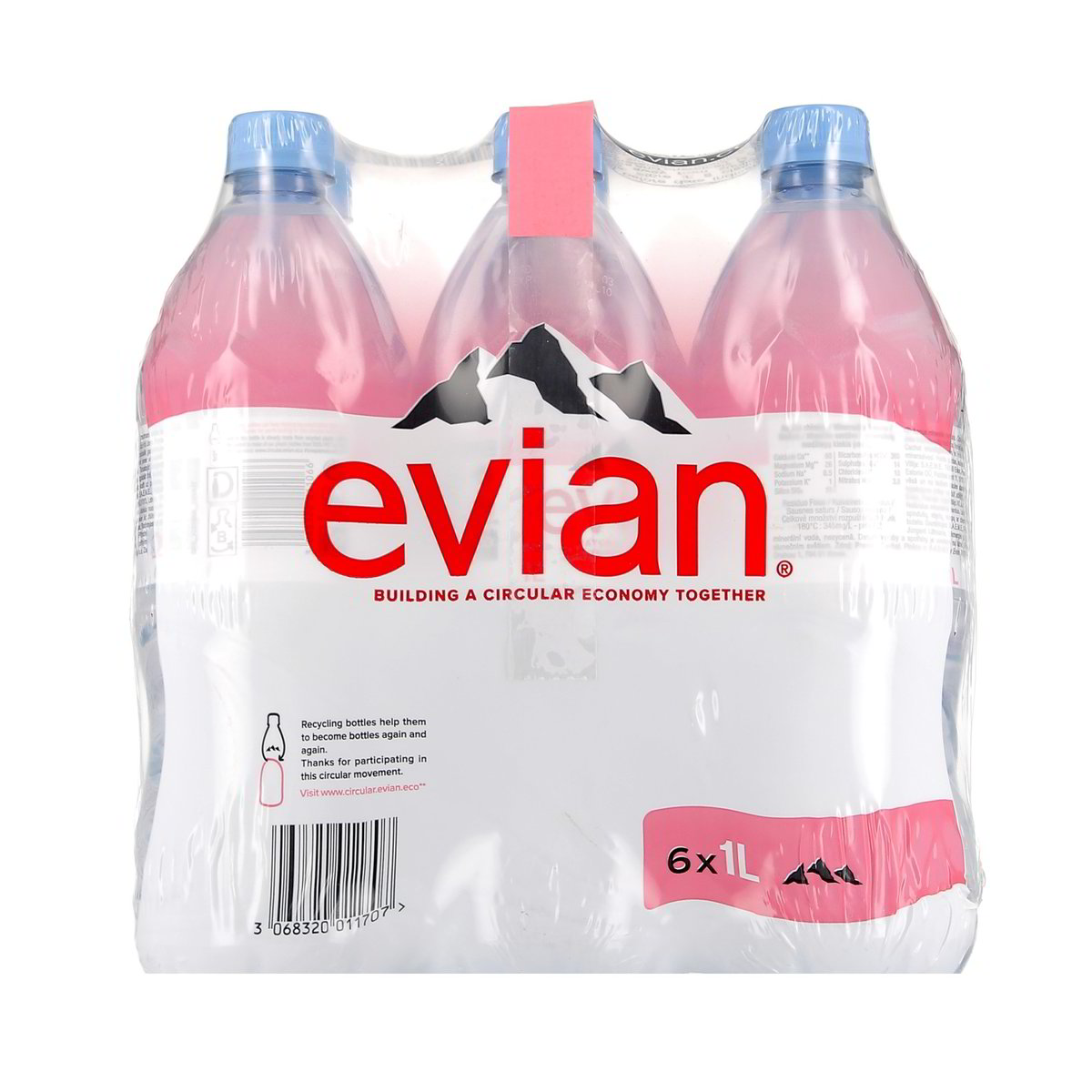 Evian Acqua Minerale Naturale 6x1 l