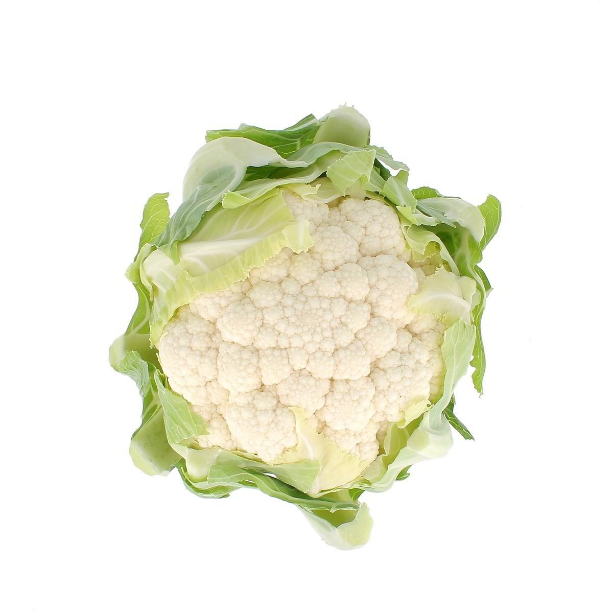 Cavolfiore Bianco confezione da circa 1 kg