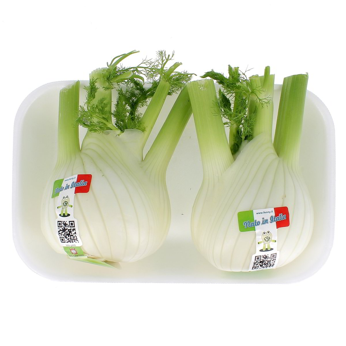 Finocchi confezione da circa 1 kg