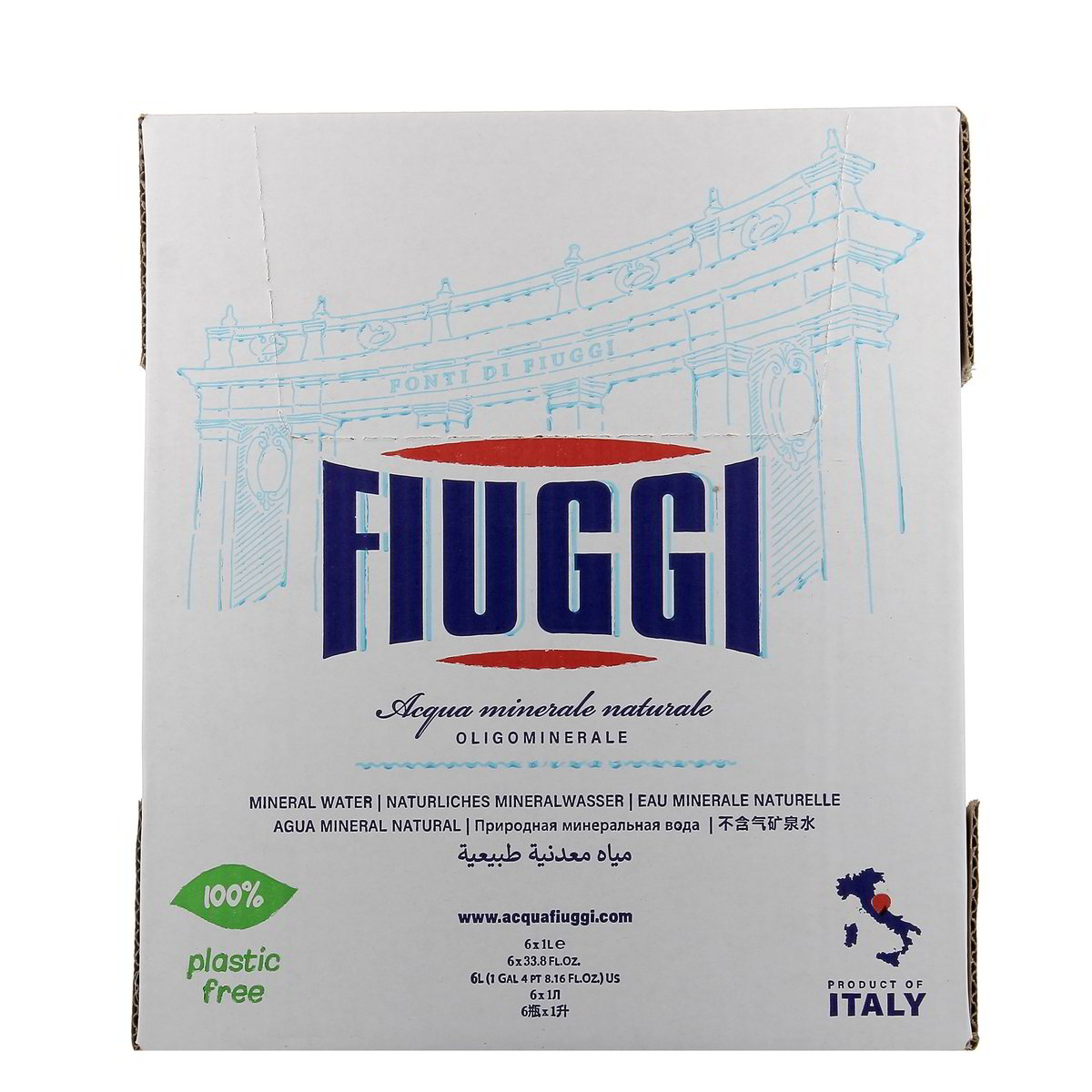 Fiuggi Acqua Oligominerale Naturale 6 bottiglie di VETRO da 1 l