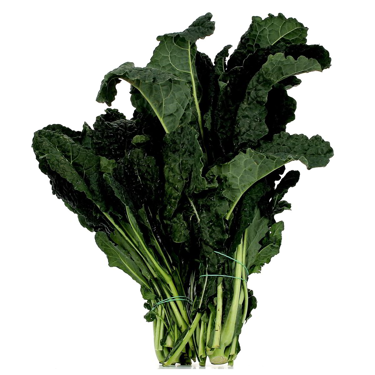 Cavolo Nero confezione da circa 900 g