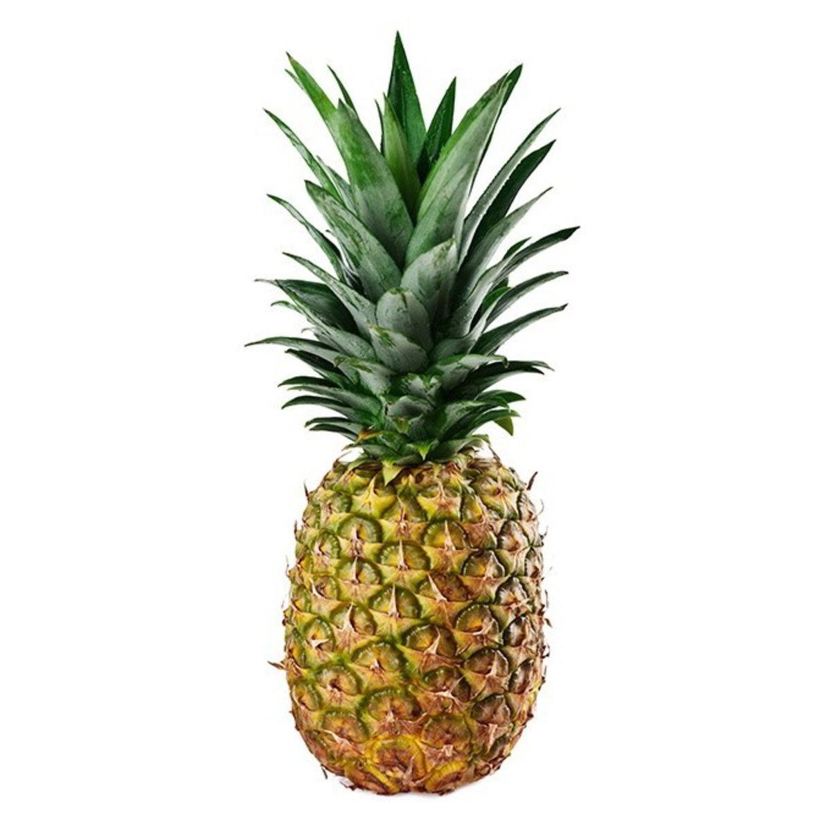 Ananas confezione da circa 1,96 kg