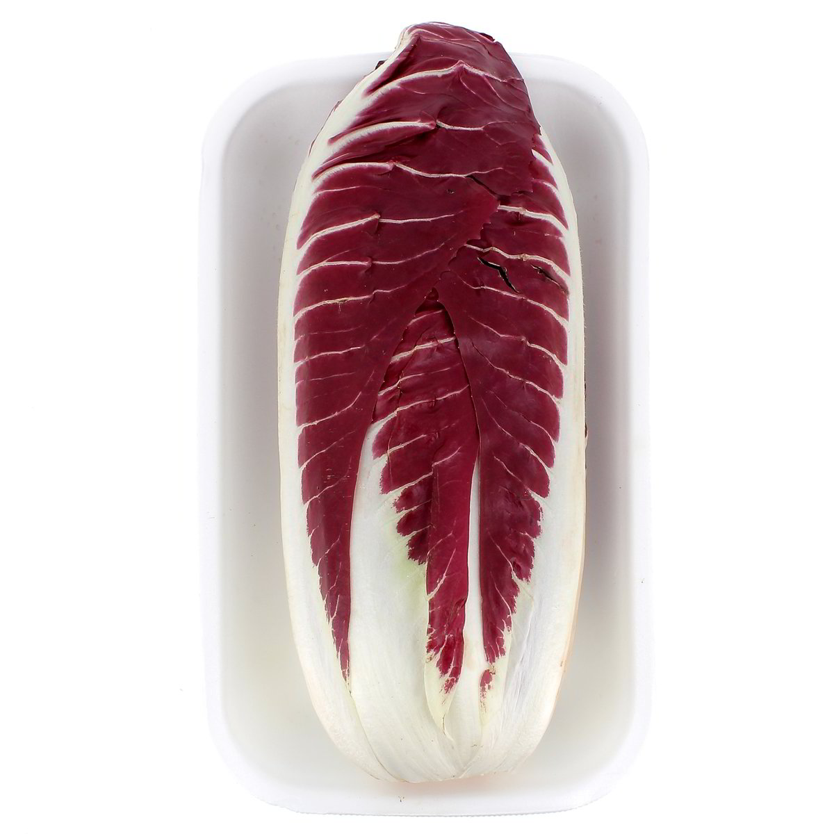 Radicchio Lungo Rosso confezione da circa 790 g