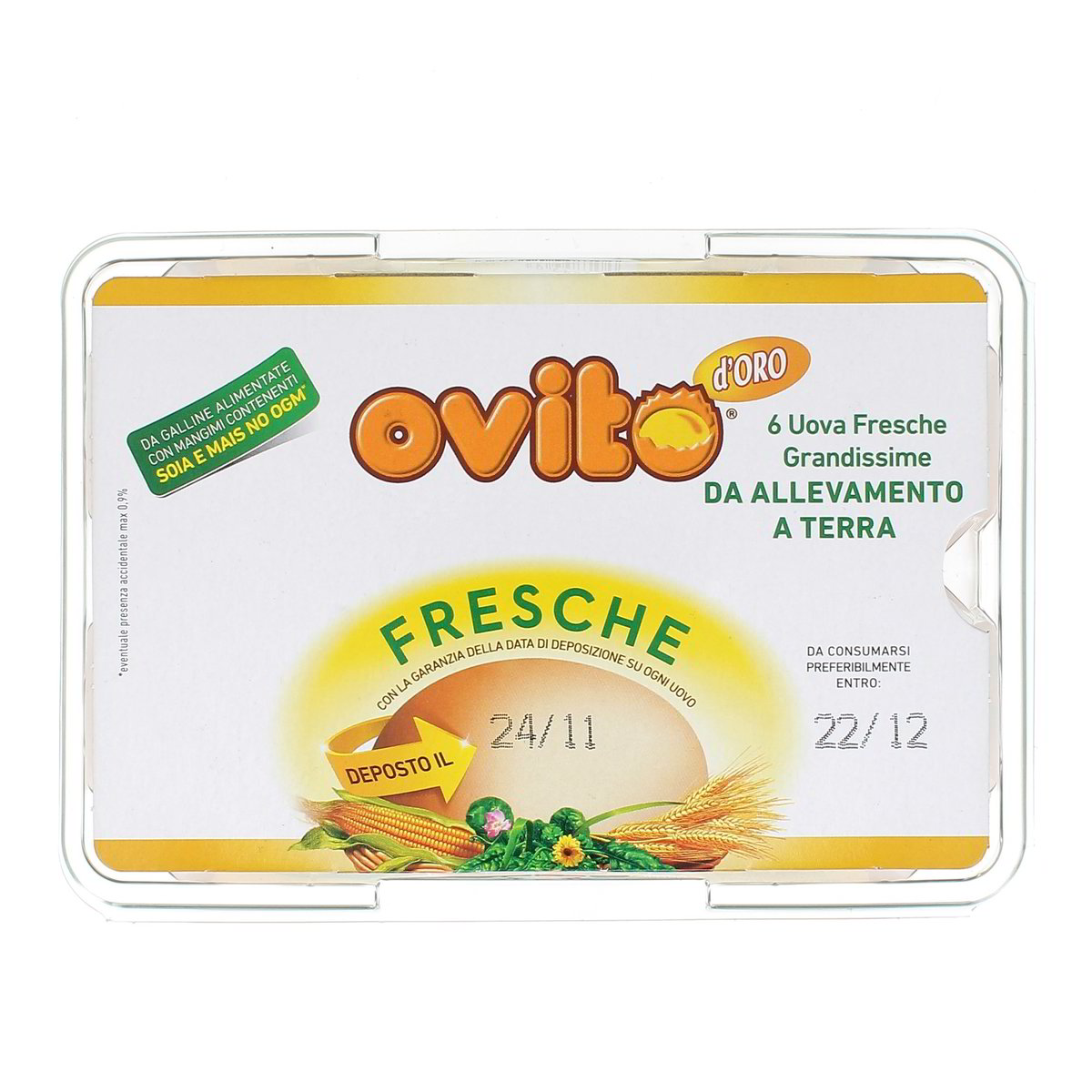 Ovito Uova Fresche Grandissime Da Allevamento A Terra 6 uova grandi