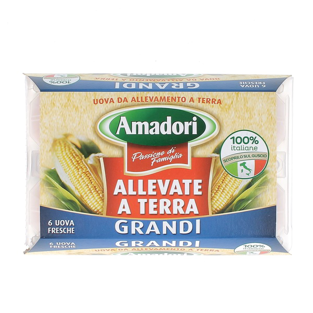 Amadori Uova Da Allevamento A Terra 6 uova grandi