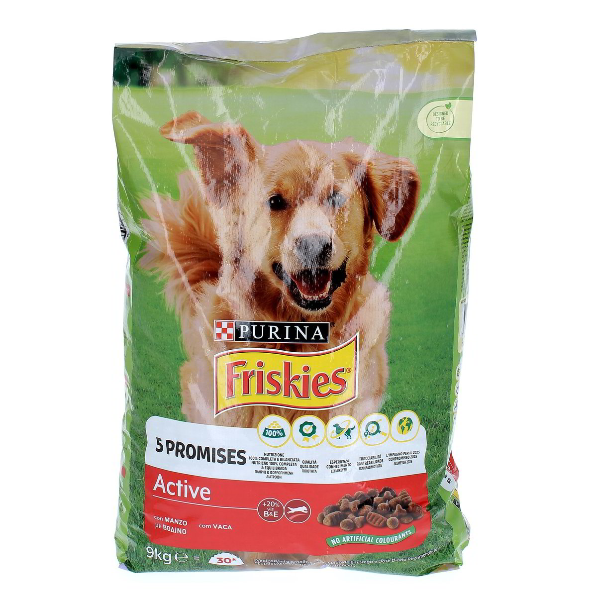 Purina Friskies Croccantini Active Con Manzo 5 Promises 9 kg