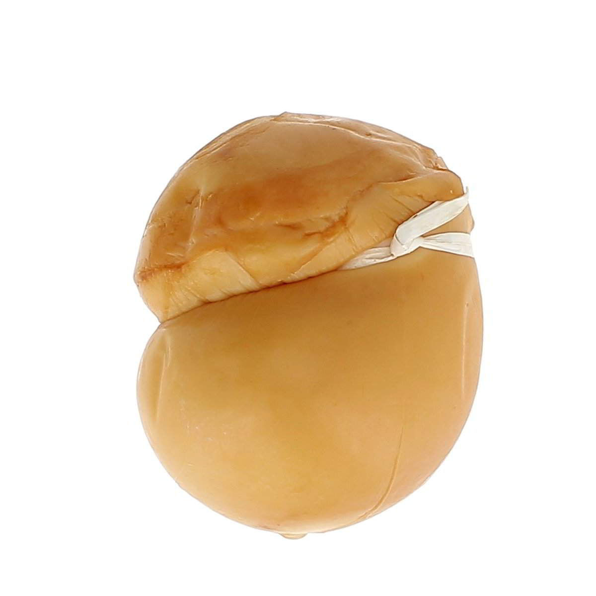 Scamorza Affumicata 300 g