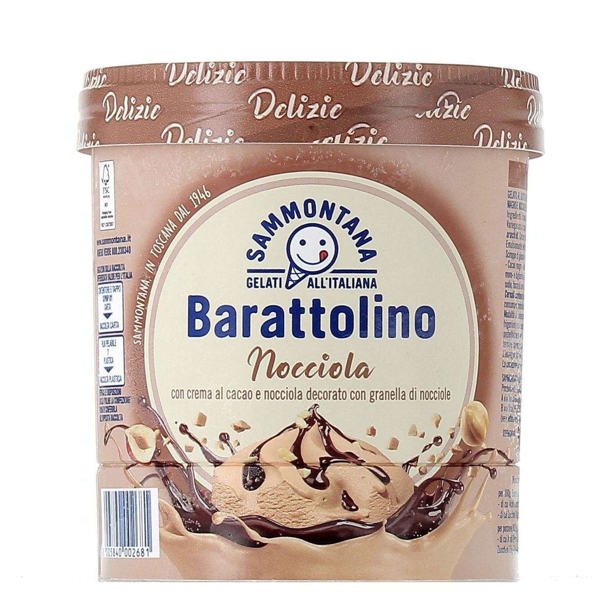 Sammontana Barattolino Nocciola 500 g