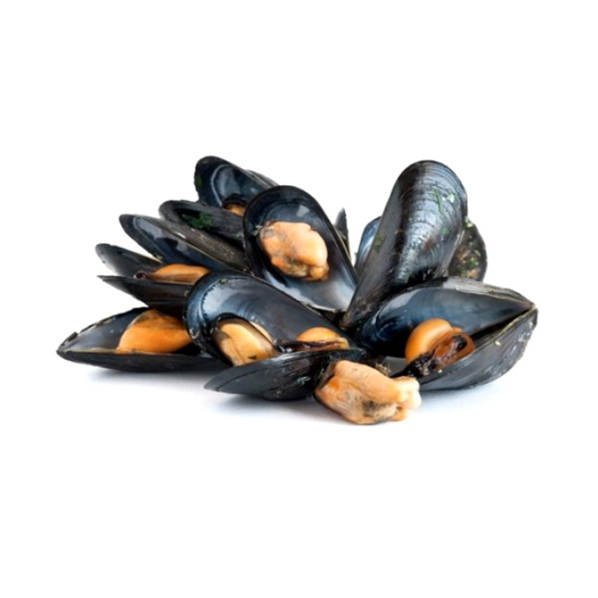 Cozze SOTTOVUOTO 1 kg - ORIGINE ITALIA / SPAGNA - ALLEVATO