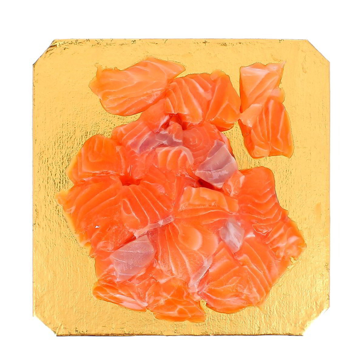 Ritagli Di Salmone 90 g - ALLEVATO