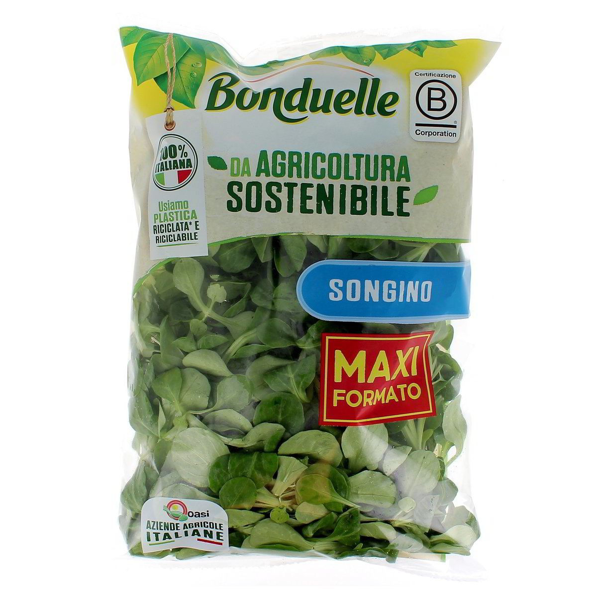 Bonduelle Songino 160 g