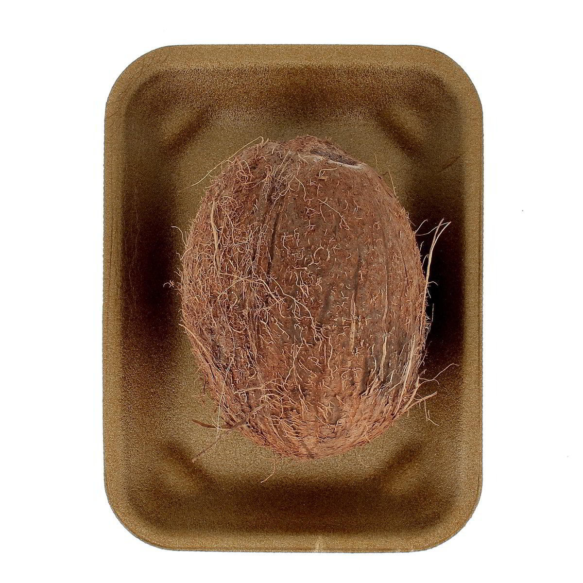 Noci Di Cocco confezione da circa 590 g