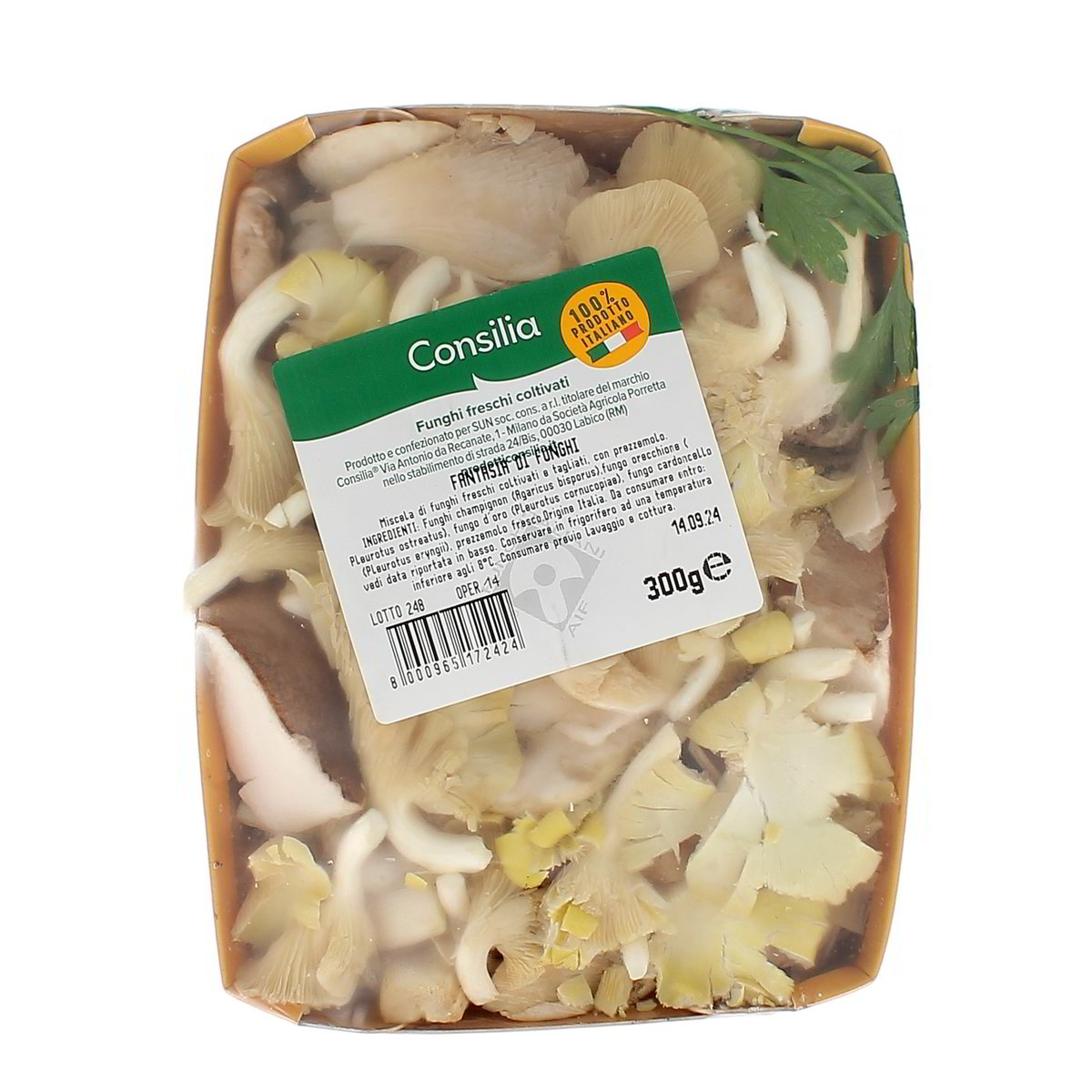 Consilia Fantasia Di Funghi 300 g