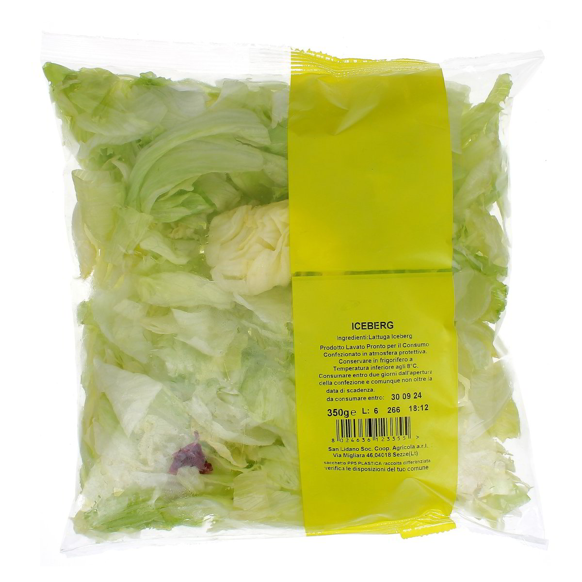Ortopronto Lattuga Iceberg 350 g