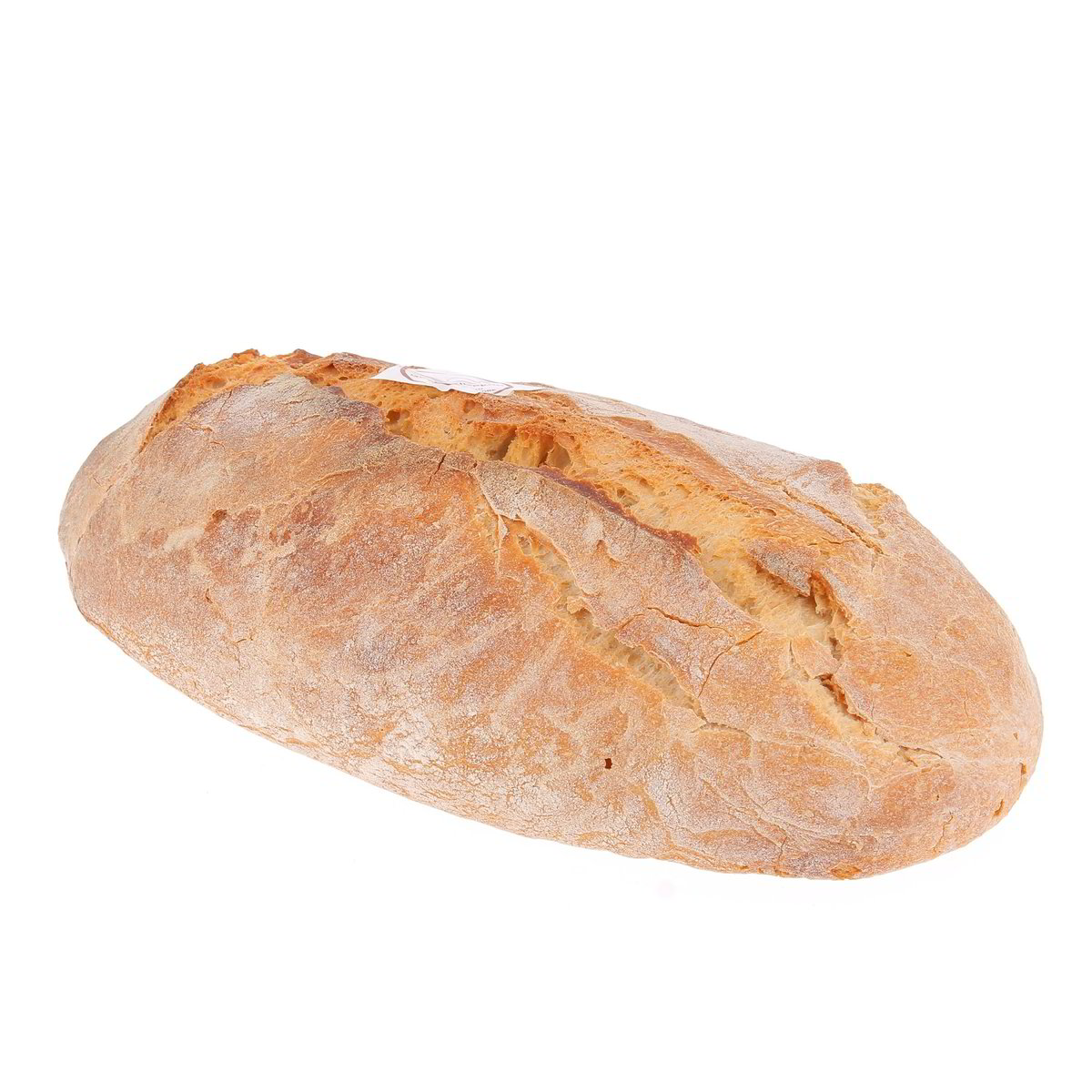 Grande Impero Pane Sciapo confezione da circa 750 g