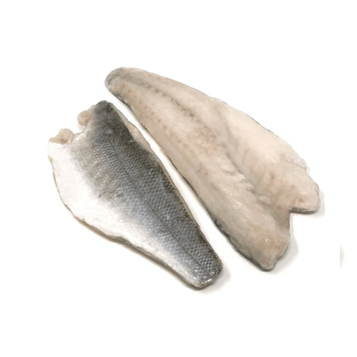 Filetto Di Spigola confezione da circa 240 g