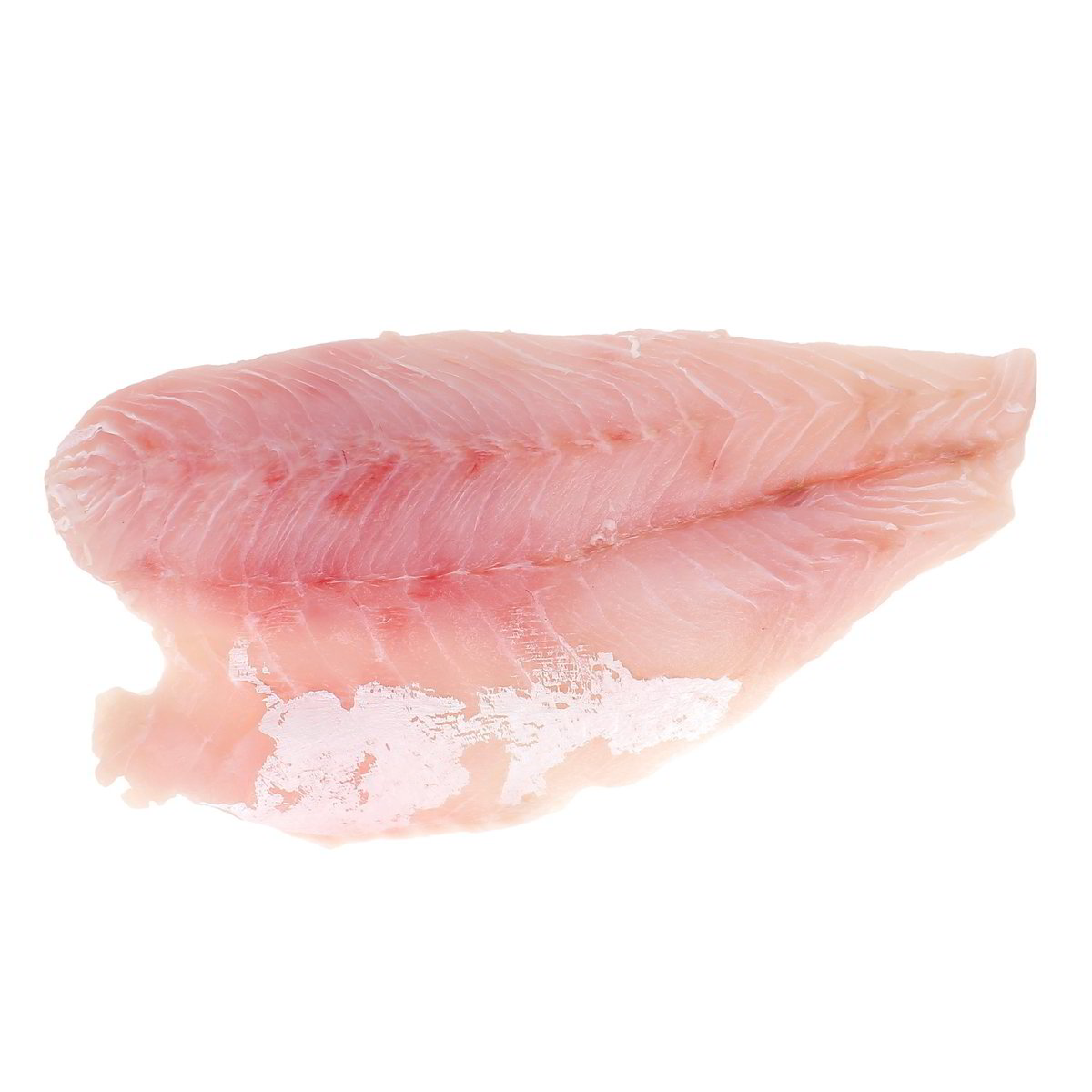 Filetto Di Persico Africano confezione da circa 450 g