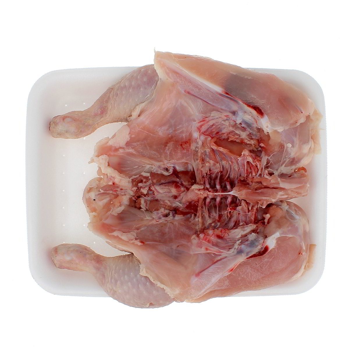 Pollo Alla Diavola confezione da circa 1 kg