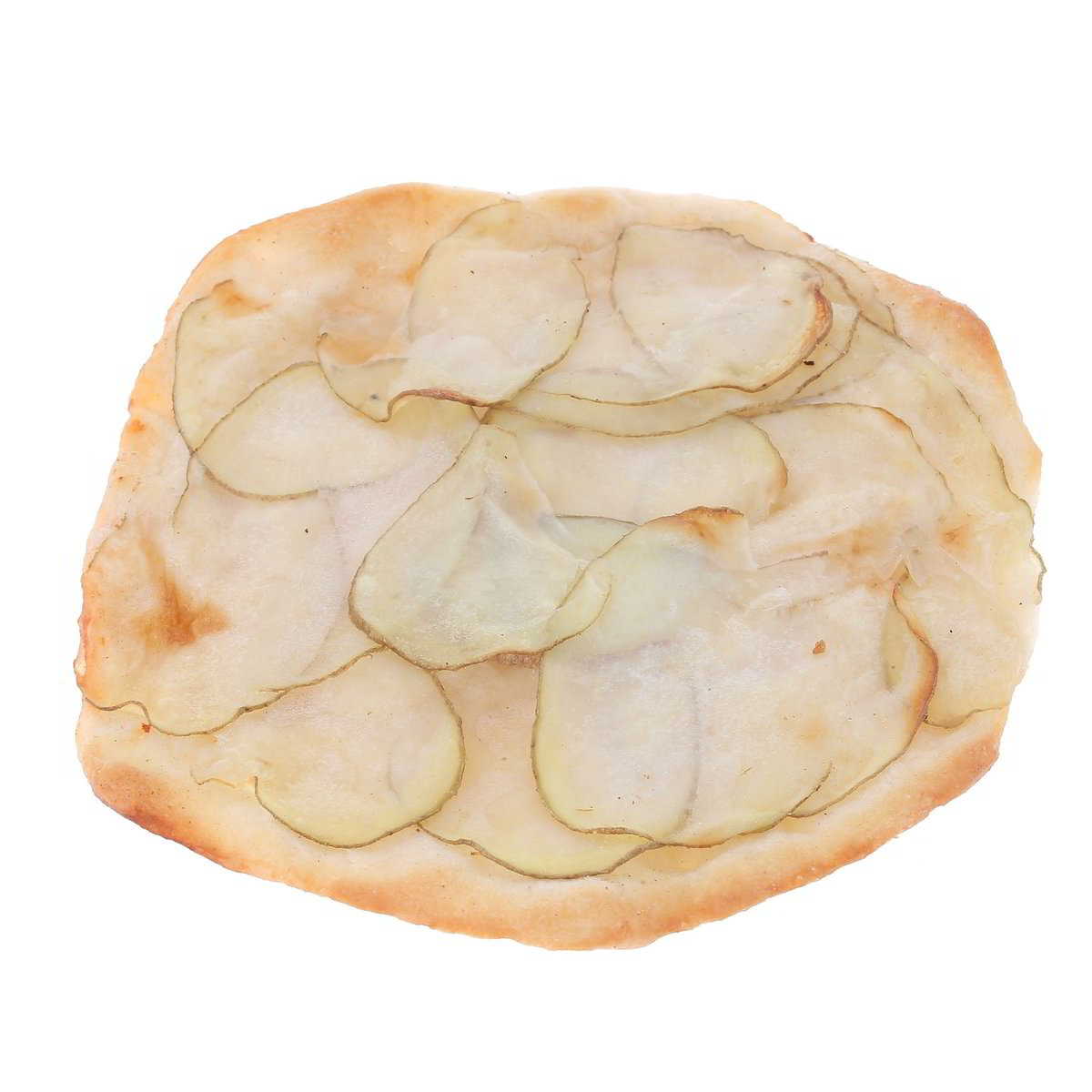 Forno Fratelli Mattia Pizzetta Tonda Patate confezione da circa 100 g