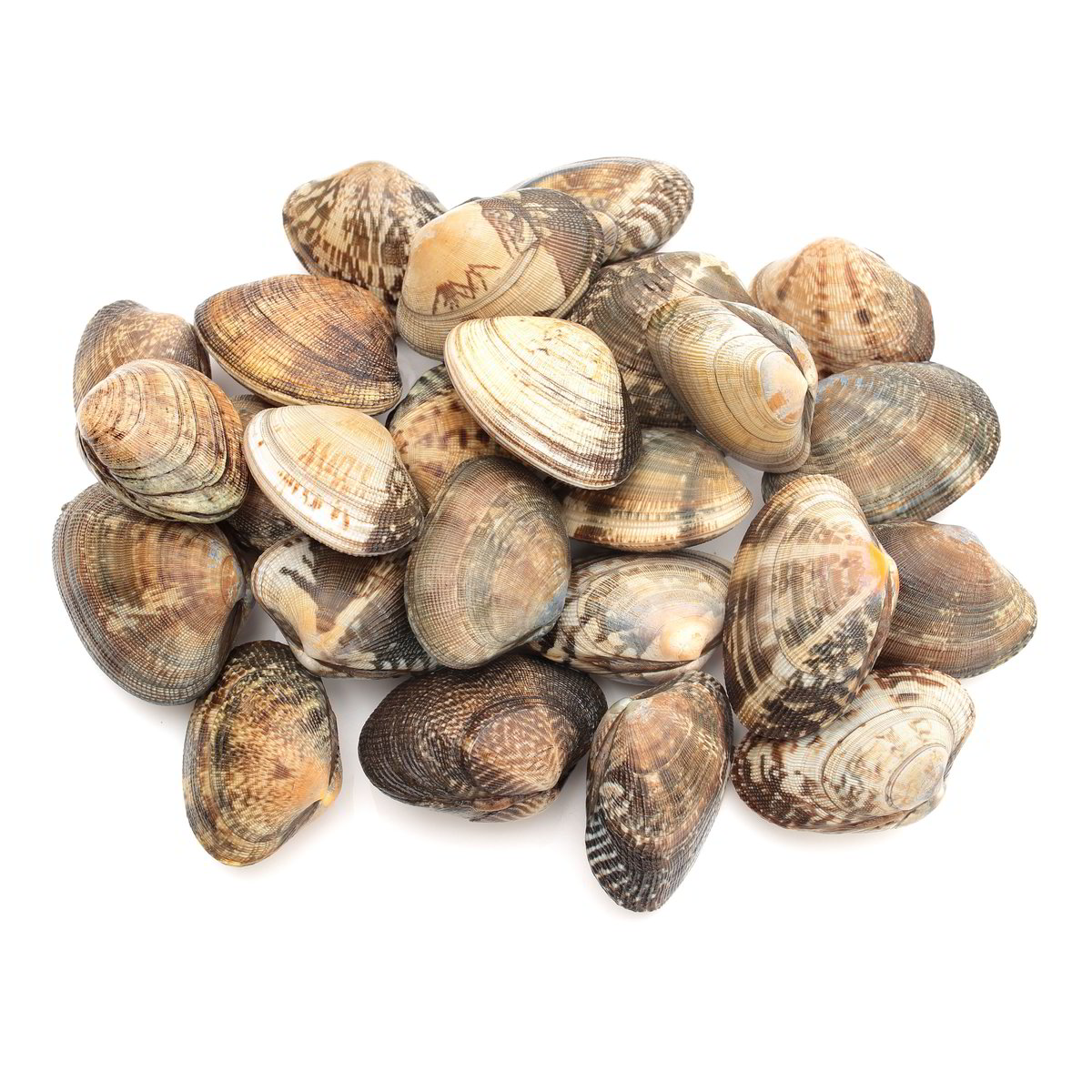 Vongola O Lupino SOTTOVUOTO 500 g - PESCATO
