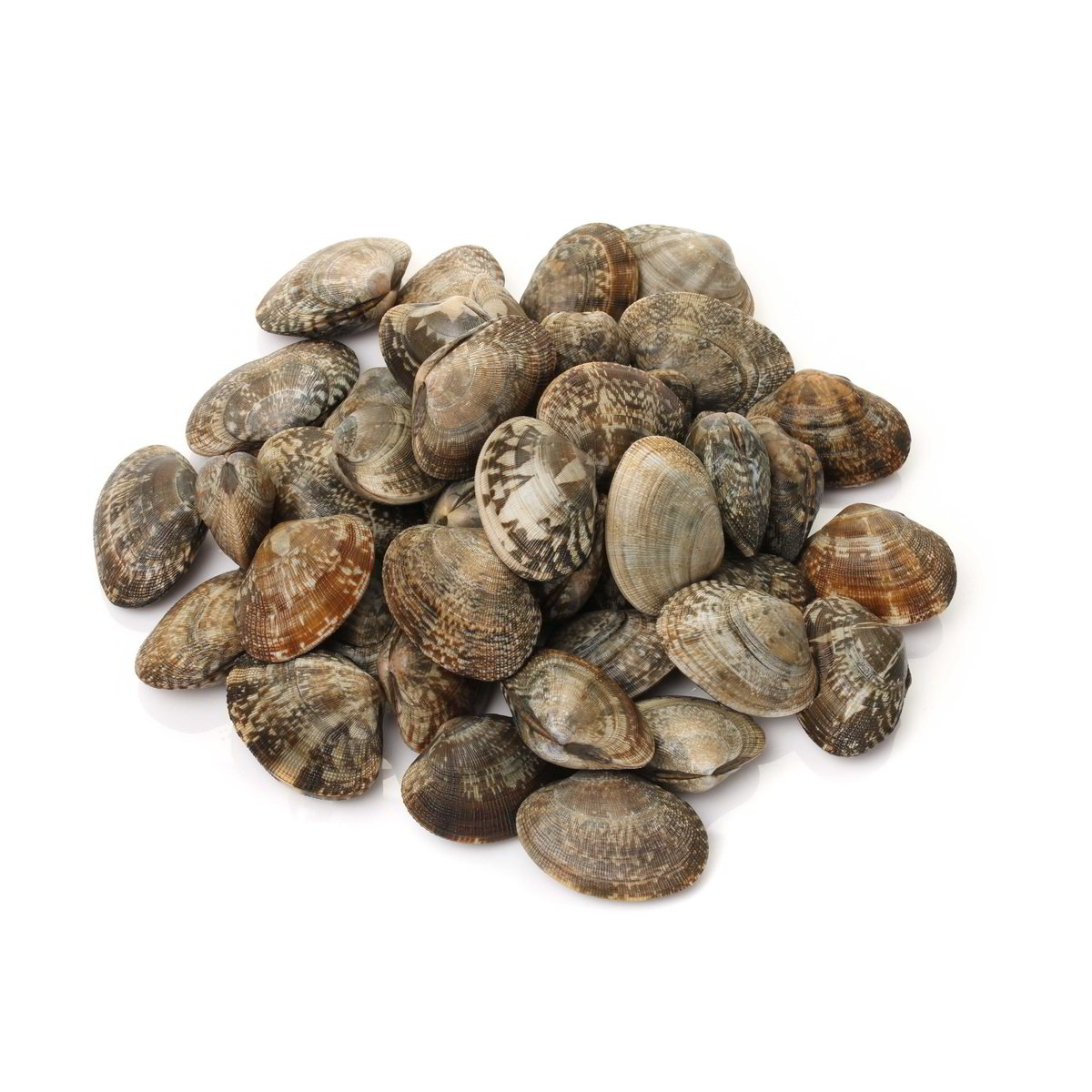 Vongole Veraci SOTTOVUOTO 500 g - ORIGINE ITALIA / SPAGNA - ALLEVATO