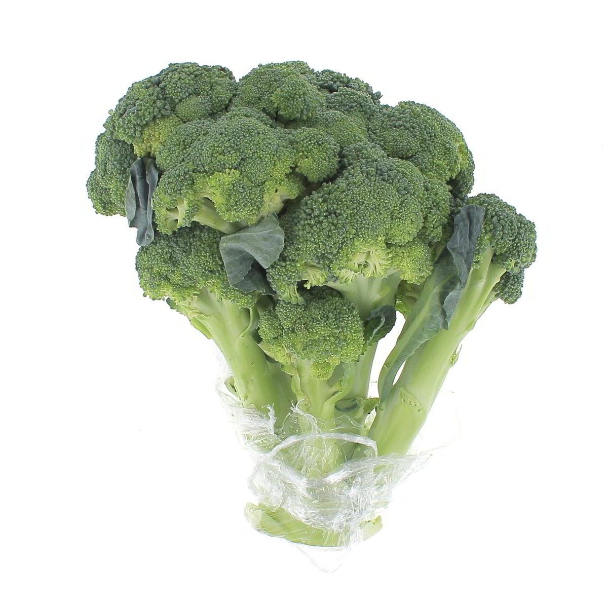 Broccoletti Siciliani 500 g