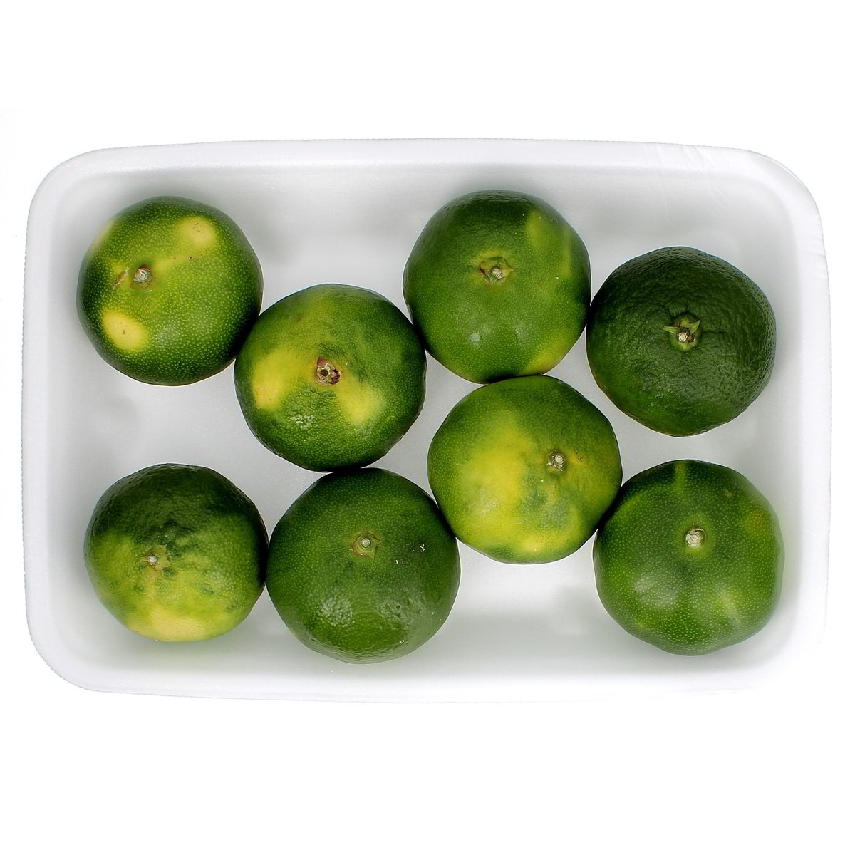 Mandarino Satsuma Miyagawa confezione da circa 900 g