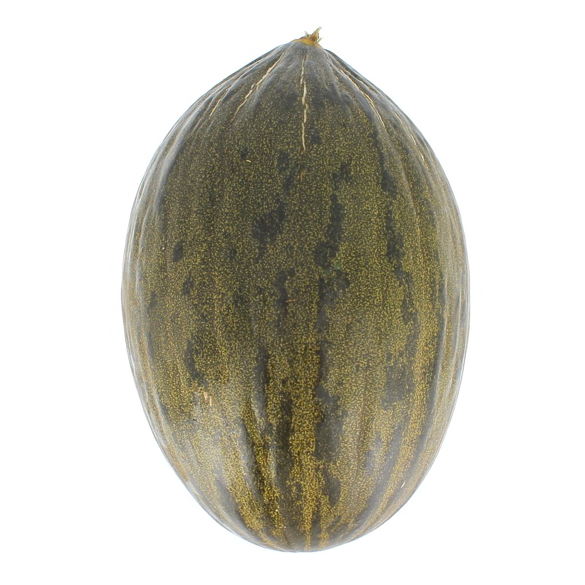Meloni Verdi confezione da circa 1,5 kg